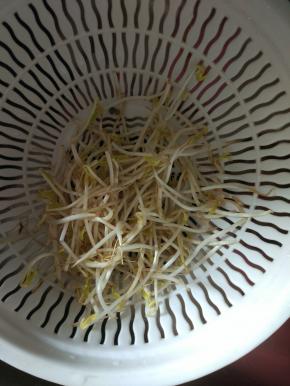 豆芽清洗干净，控干水分