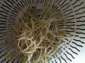 豆芽清洗干净，控干水分