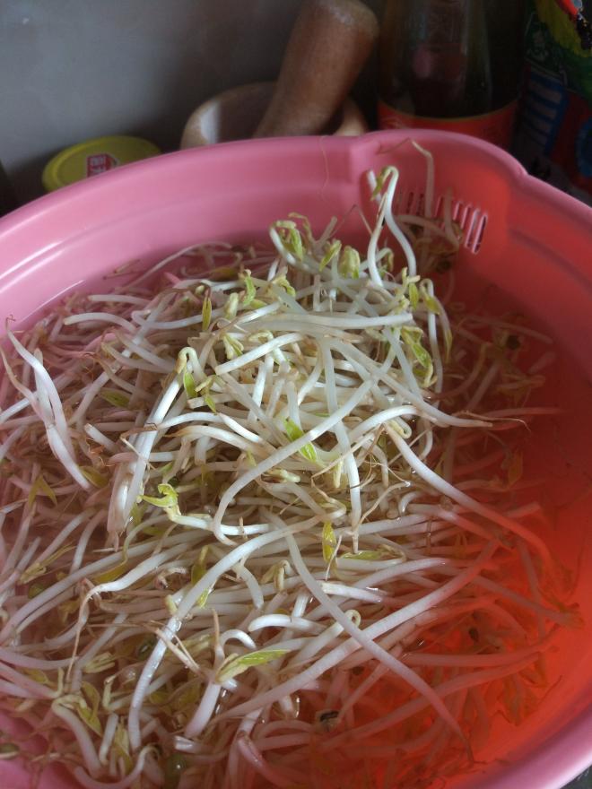 吃饱饱减肥餐30、凉拌豆芽