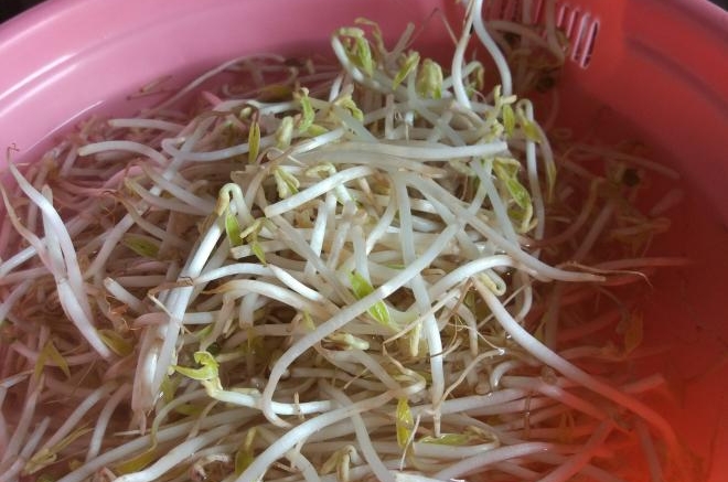 吃饱饱减肥餐30、凉拌豆芽