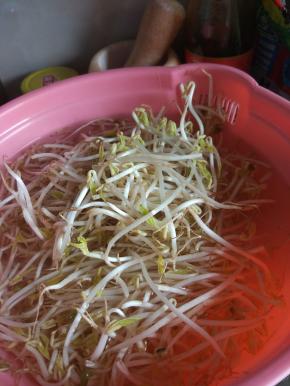 豆芽清水洗净