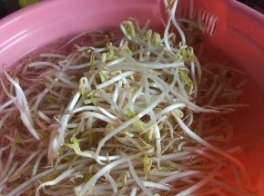 豆芽清水洗净
