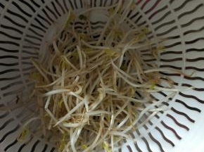 控干水分