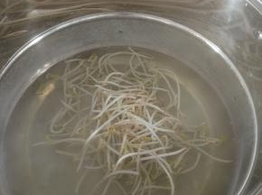 黄豆芽焯热水，放凉备用