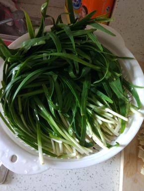 韭菜洗净控水，切小段
