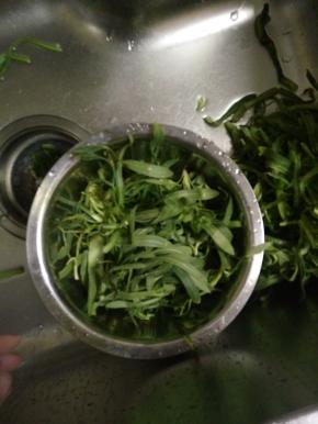 面条菜适量清洗干净