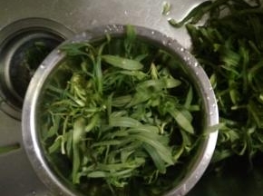 面条菜适量清洗干净
