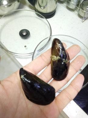 买回来的海虹，处理干净，去掉干草一样的脚