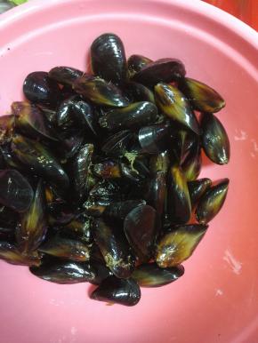 买回来的青口，泡温水，吐沙，清洗干净