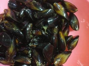 买回来的青口，泡温水，吐沙，清洗干净