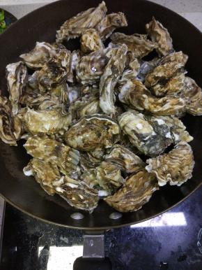 放入处理好的生蚝，加入半碗水