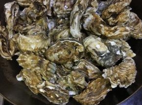 放入处理好的生蚝，加入半碗水