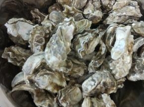 大火烧开，四分钟即可