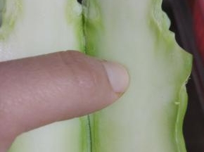 洗净，用刀从中间对切两半