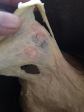 揉至扩展阶段，加入黄油！