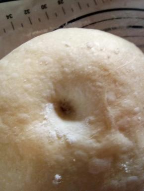 发酵至两倍大，用手戳孔不回缩不凹陷