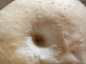发酵至两倍大，用手戳孔不回缩不凹陷