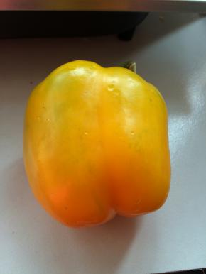 1.	黄椒去籽，清洗干净切成条状。