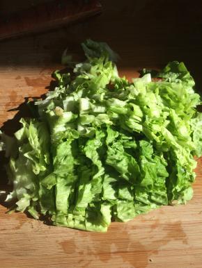 2.	生菜清洗干净，切成块状。