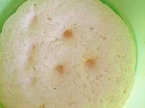 发酵至如图状态即可。