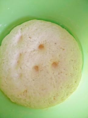 发酵至如下状态即可