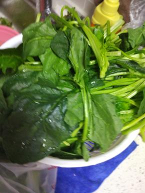 菠菜清洗干净