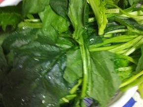 菠菜清洗干净