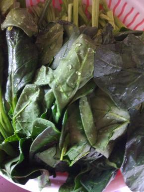 菠菜清洗干净控干水分