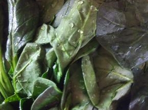 菠菜清洗干净控干水分