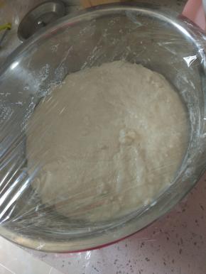 封保鲜膜，温暖湿润处，发酵至两倍大