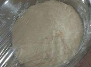 封保鲜膜，温暖湿润处，发酵至两倍大