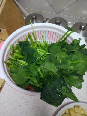 菠菜清洗干净，控干水分。买菠菜的时候看下梗，不要买那种粗粗的，比如图上这种就太粗了，味道不好(；′⌒`)