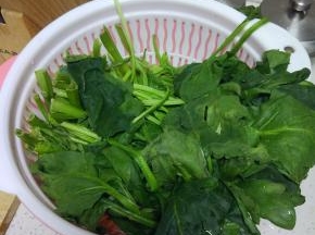 菠菜清洗干净，控干水分。买菠菜的时候看下梗，不要买那种粗粗的，比如图上这种就太粗了，味道不好(；′⌒`)