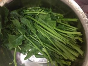 菠菜清洗干净，切成块状