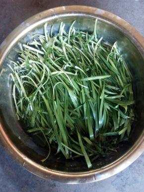 先把韭菜用清水洗干净。