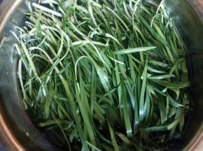 先把韭菜用清水洗干净。