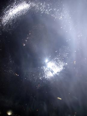 锅里放狗烧热。