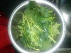 把波菜摘好，放盆中用清水洗干净。