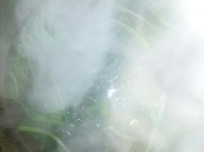 洗好的波菜放在烧开的水中焯一下，这样可以去除波菜中草酸钙，更有助钙的吸收。