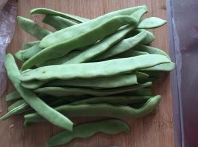 芸豆摘好清新干净