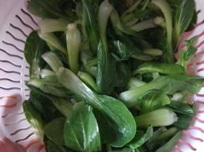 油菜洗净控干水分