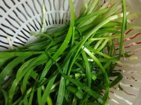 韭菜清洗干净