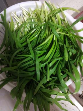 韭菜适量控干水分