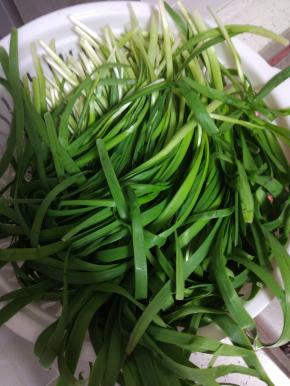 韭菜适量清洗干净，控干水分，切长段备用