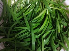 韭菜适量清洗干净，控干水分，切长段备用