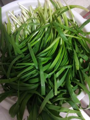 韭菜适量清洗干净，控干水分