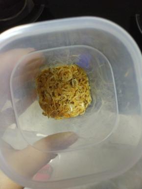 虾皮适量，洗净备用