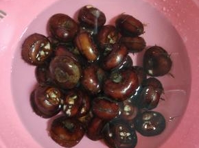 马蹄适量清洗干净
