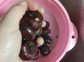 荸荠适量清洗干净