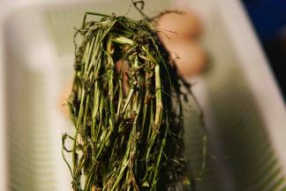 这是晒过得荠菜
朋友们可以自行百度
荠菜洗干净